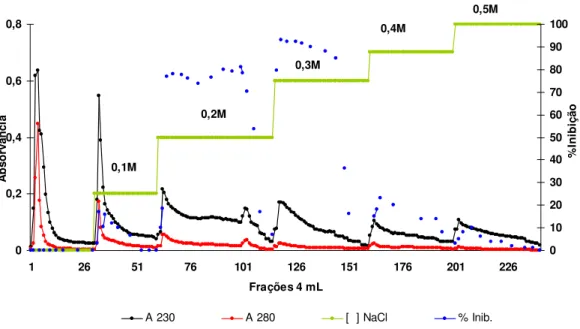 Figura 5: Perfil cromatográfico de Troca Aniônica em Q-Sepharose-(Pharmacia LKB Biotechnology) da  fração  TT 60-80 proveniente  das sementes com tratamento térmico 