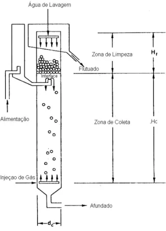 FIGURA 1  –  Representação esquemática da  coluna de flotação e suas principais zonas (Finch e  Dobby, 1990)