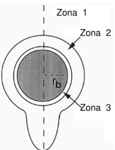 FIGURA 3  –  Três zonas do  modelo de interação  partícula-bolha  (Derjaguin-Dukin) no entorno da  superfície de uma bolha de  raio r b 