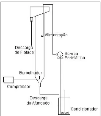 FIGURA 6  –  Representação esquemática da  coluna do Laboratório de Tratamento de Minérios  do DEMIN utilizada nos experimentos de flotação
