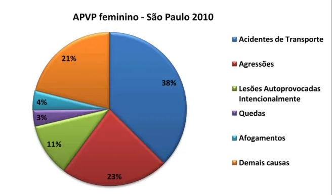 Figura  6  –  Frequência  relativa  do  total  de  APVP,  segundo  agrupamentos  das  causas  externas