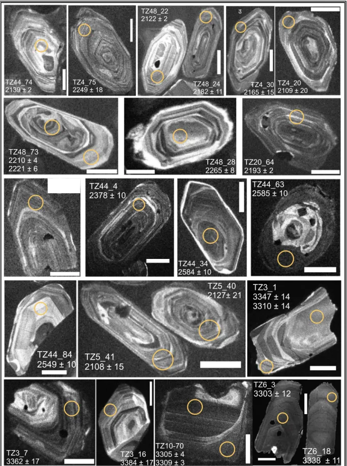 Fig. 5. Cathode-luminescence images of representative detrital zircon grains labeled with sample identiﬁcation, grain number and 207 Pb/ 206 Pb age (supplementary data Table 2)