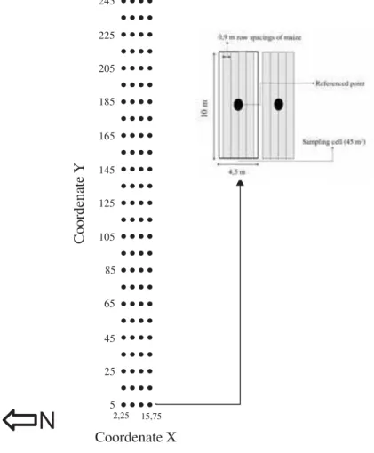 Figure 1. Sampling scheme of soil attributes and corn yield in a Rhodic Hapludox  under no-tillage system