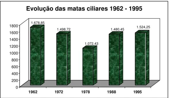 Figu r a  1 0 : Ev olução das ár eas t ot ais de m at as ciliar es no per íodo de 1962  – 1995 