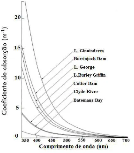 Figura 8 - Comportamento dos coeficientes de absorção em corpos d'água Australianos. 