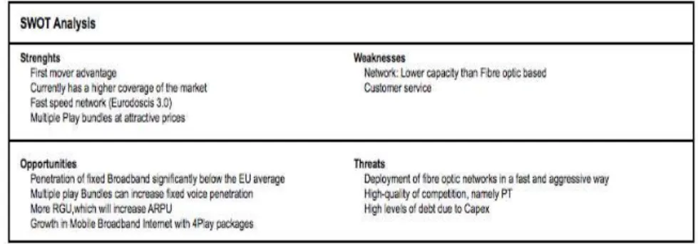 Table IX:  Zon’s  SWOT analysis 