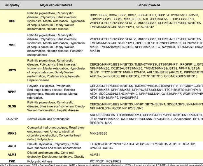 Table 2 -  Ciliopathies, major clinical features and genes involved. 