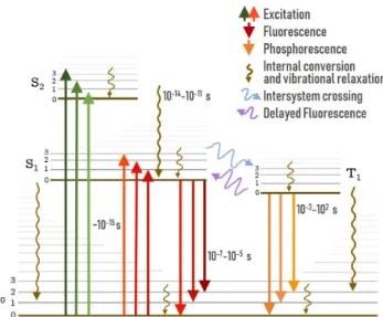 Figure 2.1: Jablonski diagram summarizing the typical radiative and nonradiative transitions within a electronically excited molecule