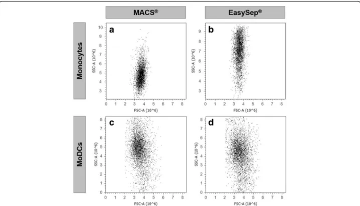Fig. 1 Comparison between monocytes and MoDCs obtained with MACS and EasySep technologies