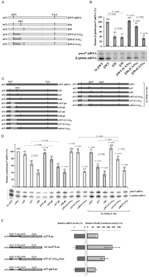 Figure 5. The boundary of the AUG-proximity effect for NMD resistance is determined by the mRNA secondary structure
