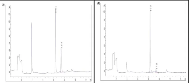 Figure 3.2.1 Gas chromatographic pattern of 2-AP and 2,6-DMP from headspace fractions  extracted from (A) Guixiangzhang and (B) Peizaruanxiang using a NPD