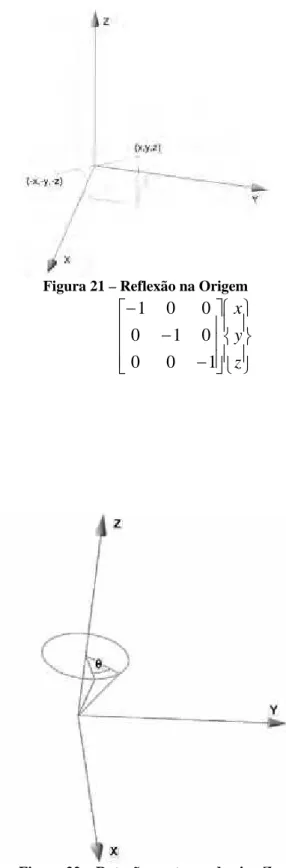 Figura 21 – Reflexão na Origem