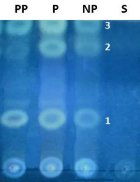 Figure 7. Chromatogram analysis revealed the presence of triterpenoids as marker chemical classes of post-partum ewes (PP), pregnant ewes (P) and non-pregnant (NP) samples, and a chemical profile that clearly portrait three major bands: 1, 2 and 3