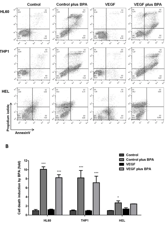 Figure 6: The effect of bromopyruvic acid (BPA) in cell viability in AML cells with and without VEGF stimulus