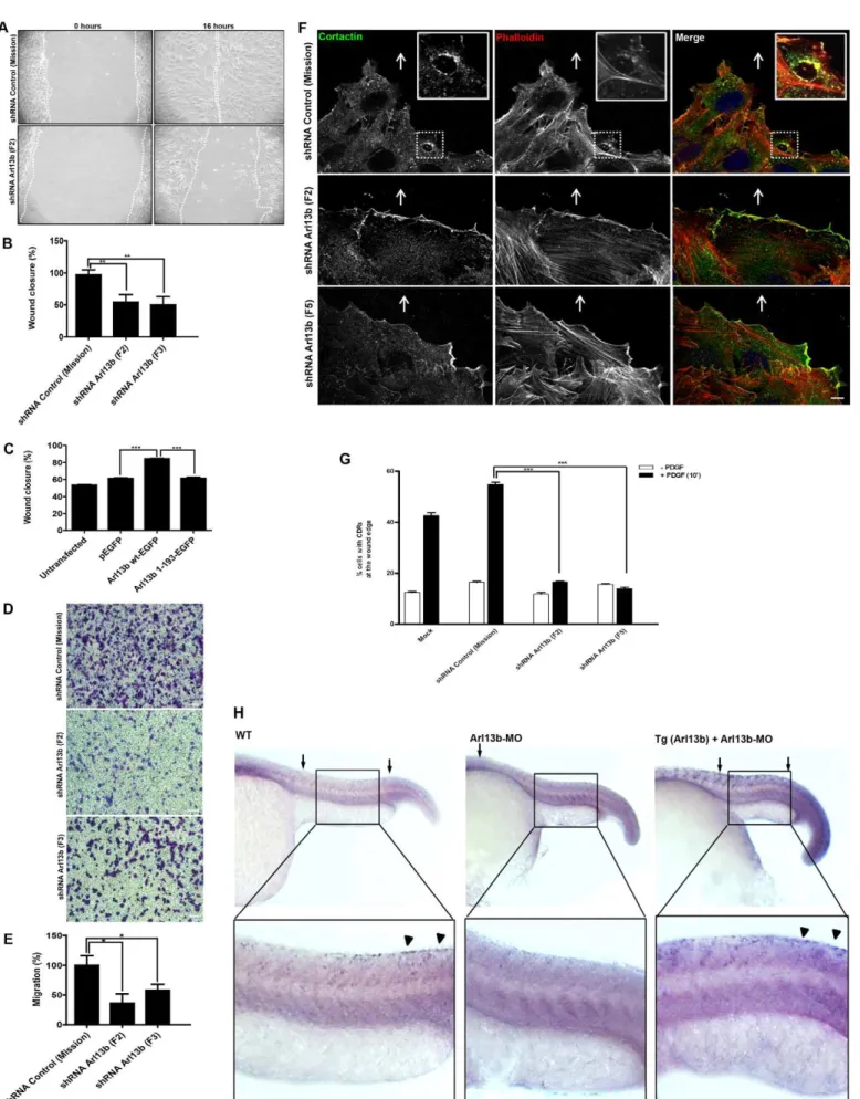 Fig. 4. See next page for legend.