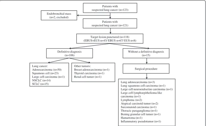 Figure 1 Flowchart of patients enrolled, procedures performed and results obtained.
