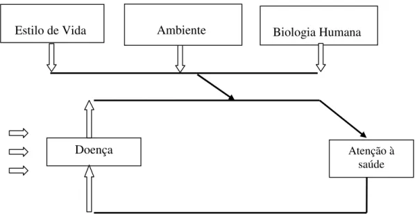 Figura 3.5 - Modelo de determinação do processo saúde-doença do Relatório Lalonde  Fonte: Carvalho, 2005