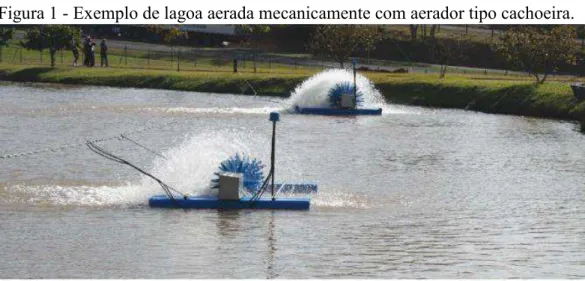 Figura 1 - Exemplo de lagoa aerada mecanicamente com aerador tipo cachoeira. 