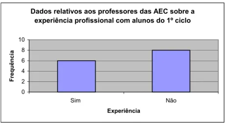 Gráfico 12: Dados relativos aos Professores das AEC sobre a experiência profissional 