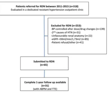 Fig 1. Flowchart with patient selection. From the total number of patients evaluated in a dedicated outpatient hypertension clinic (n = 318), 65 patients were submitted to renal denervation, after the exclusion of 253 due to several reasons listed
