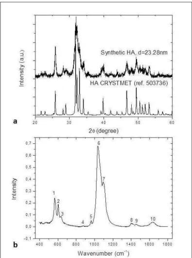Figure 1. a: XRD patterns of the synthetic HA and CRYSTMET  database. b: HA spectra obtained for synthetic HA (Peaks 1,2:  PO 4 3- , 3: OH - , 4: HPO 4 2- , 5, 6 and 7,  PO 4 3 ;  8 and 9: CO 3 - ; 10:  H 2 0)