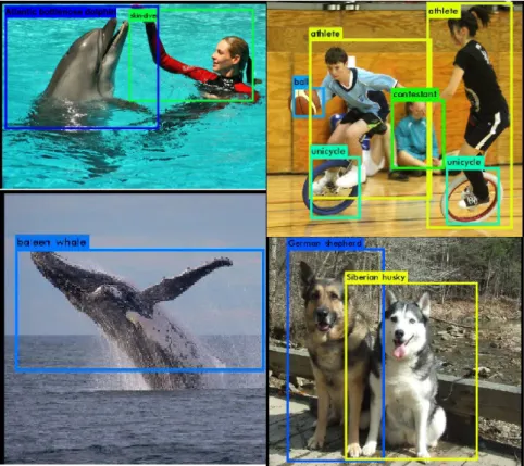 Figure 2.3: Detection of objects of different classes using YOLO, adapted from [37]