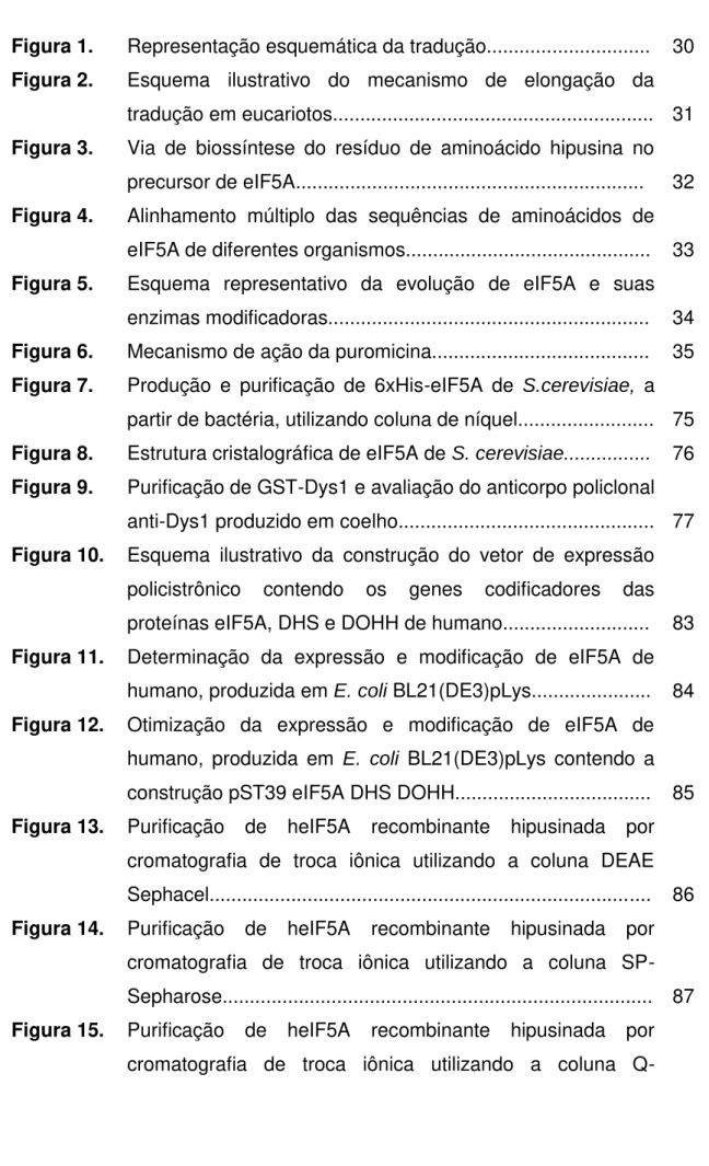 Figura 1.  Representação esquemática da tradução..............................  30  Figura 2