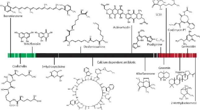 Fig.  3.  S.  coelicolor  secondary  metabolites  in  relation  to  their  chromosomal  location