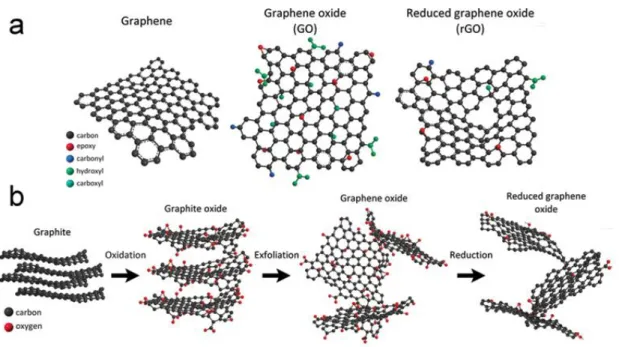 Figure 1.7 Schematic representation of a) pure graphene, individual GO layer with different functional groups and single layer  of rGO; b) preparation of rGO via chemical exfoliation of graphite [26]