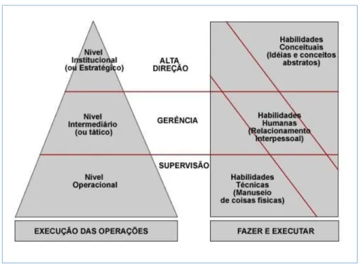 Figura 4.1 Pirâmide organizacional. 