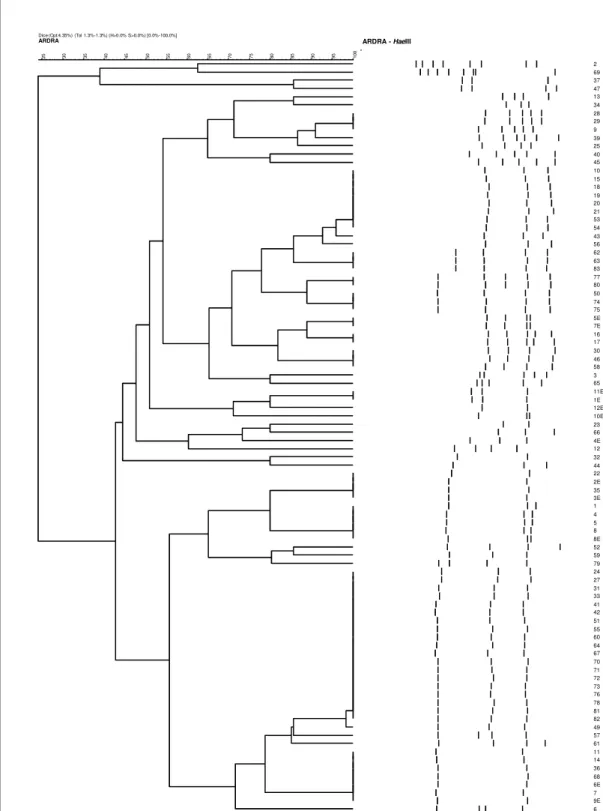 Figura  11  –  Dendrograma  resultante  da  análise  UPGMA  utilizando  o  coeficiente  de  similaridade  Dice