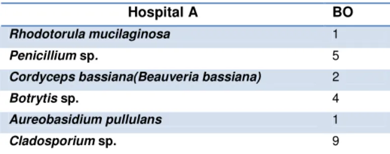 Tabela 4 – Quantidade de fungos isolados por espécie no SCE do Hospital A 
