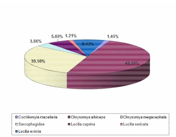 Fig. 1. Percentual de moscas necrófagas encontradas nos 23 corpos