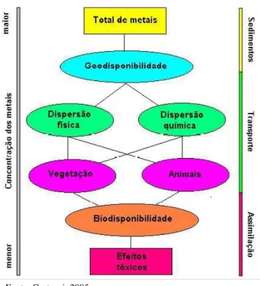 Figura 1 - Relações entre geodisponibilidade dos elementos químicos   e efeitos tóxicos sobre os organismos
