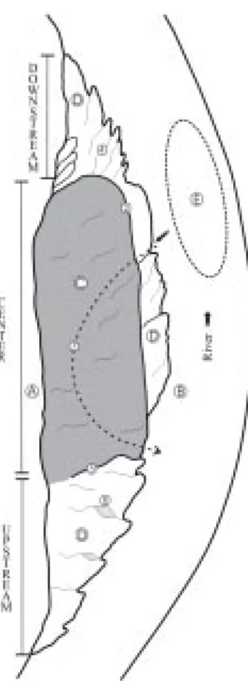 Figure 2 gives the terminology of the beaches used in this work. Here  geomorpho-logic and topographic criteria were used