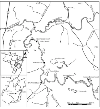 Table 1 - Granulometric fractions used in the analysis of five sediments samples collected in the nests of the giant Amazon river turtle