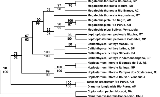 Figura 6. Árvore consenso de MP para o gene 12S produzida quando todos os sítios (1006pb) foram  usados,  proporção  Ti/Tv  1:1  e  considerando  os  gaps  como  dados  ausentes  (TL=  1046,  CI=  0.6759,  HI=  0.3241,  RI=  0.7520)
