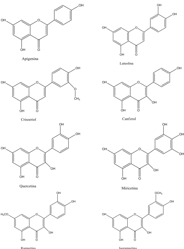 Figura 5 - Estrutura química das agliconas dos flavonoides isolados de diferentes  espécies de Microlicia por Bomfim-Patrício et al