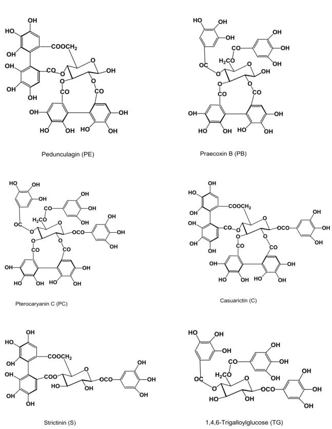 Figura  7  -  Estrutura  química  de  taninos  hidrolisáveis  em  plantas  da  família  Melastomataceae