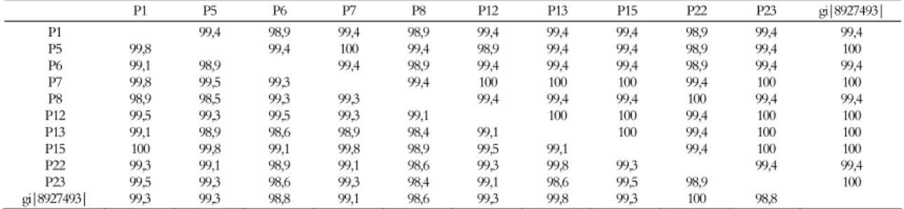 Tabela 2. Porcentagem de similaridade entre isolados de Phytophthora capsici e o isolado de Phytophthora capsici (gi|8927493 | ) do NCBI  nas regiões ITS 1 e ITS 2