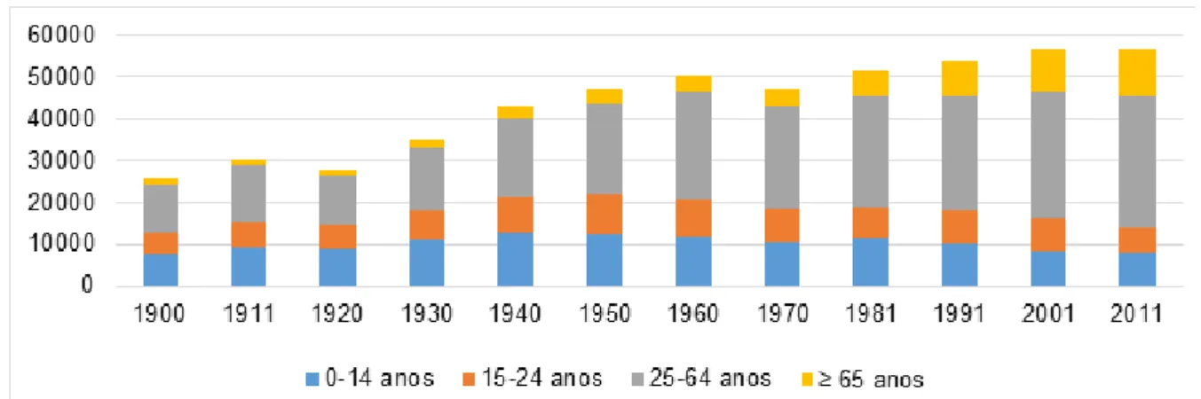 Figura 1: Número de habitantes por faixa etária   