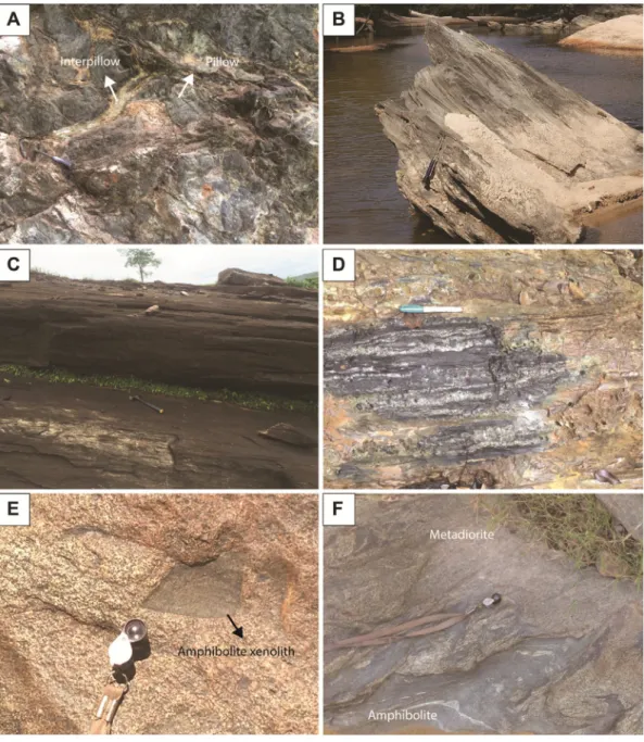 Fig. 3. Field characteristics of metavolcanic and metaplutonic rocks of the Faina and Serra de Santa Rita greenstone belts