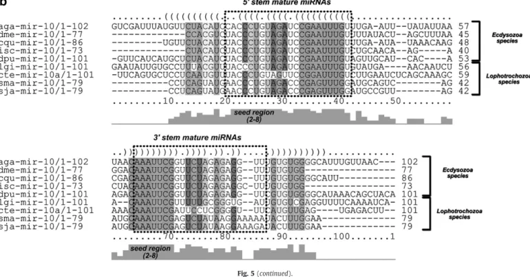 Fig. 5. Phylogenetic tree and alignment of precursor sma-mir-10 with its homologs from Bilaterian species