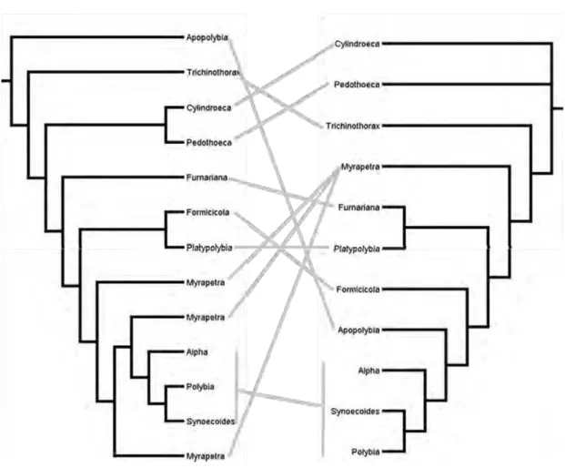 Figura 106: Comparação das relações entre os subgêneros de Polybia, modificado do consenso  de 