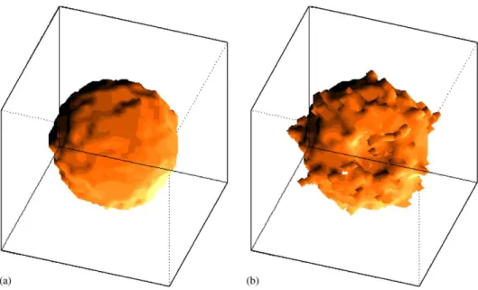 Fig. 1 shows the result of a simulation with J 2 ¼ 0; i.e., without the morphogenic field M