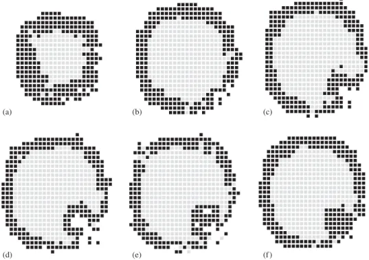 Fig. 3. Sequence of slices showing the inner region where the invagination occurred. The parameter are the same as used in Fig