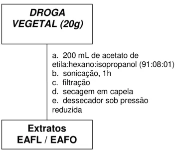 Figura  3  -  Fluxograma  que  esquematiza  o  processo  de  preparação  dos  extratos  EAFO e EAFL