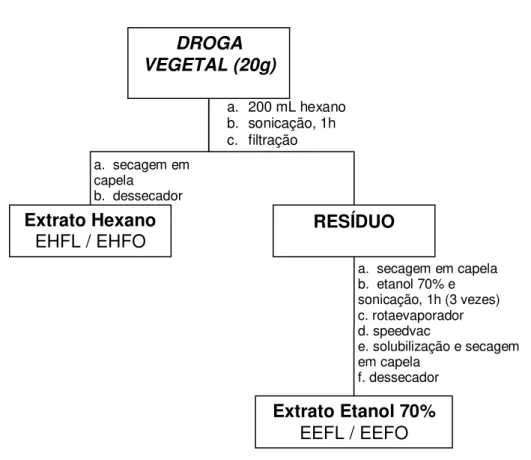 Figura  4  -  Fluxograma  que  esquematiza  o  processo  de  preparação  dos  extratos  EHFO, EHFL, EEFO e EEFL