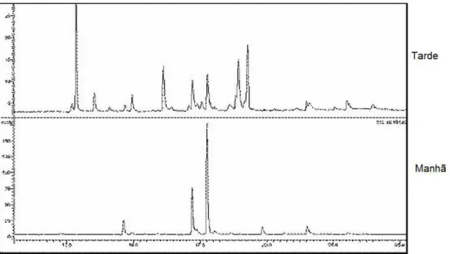 Figura  5  -  Cromatogramas  dos  óleos  essenciais  extraídos  de  folhas  de  C.  sylvestris  Sw