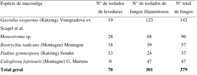 Tabela 3. Número de isolados de fungos obtidos das espécies de macroalgas coletadas no  litoral do estado do Paraná